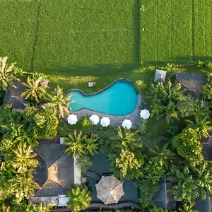 Arya , Ubud Indonesia
